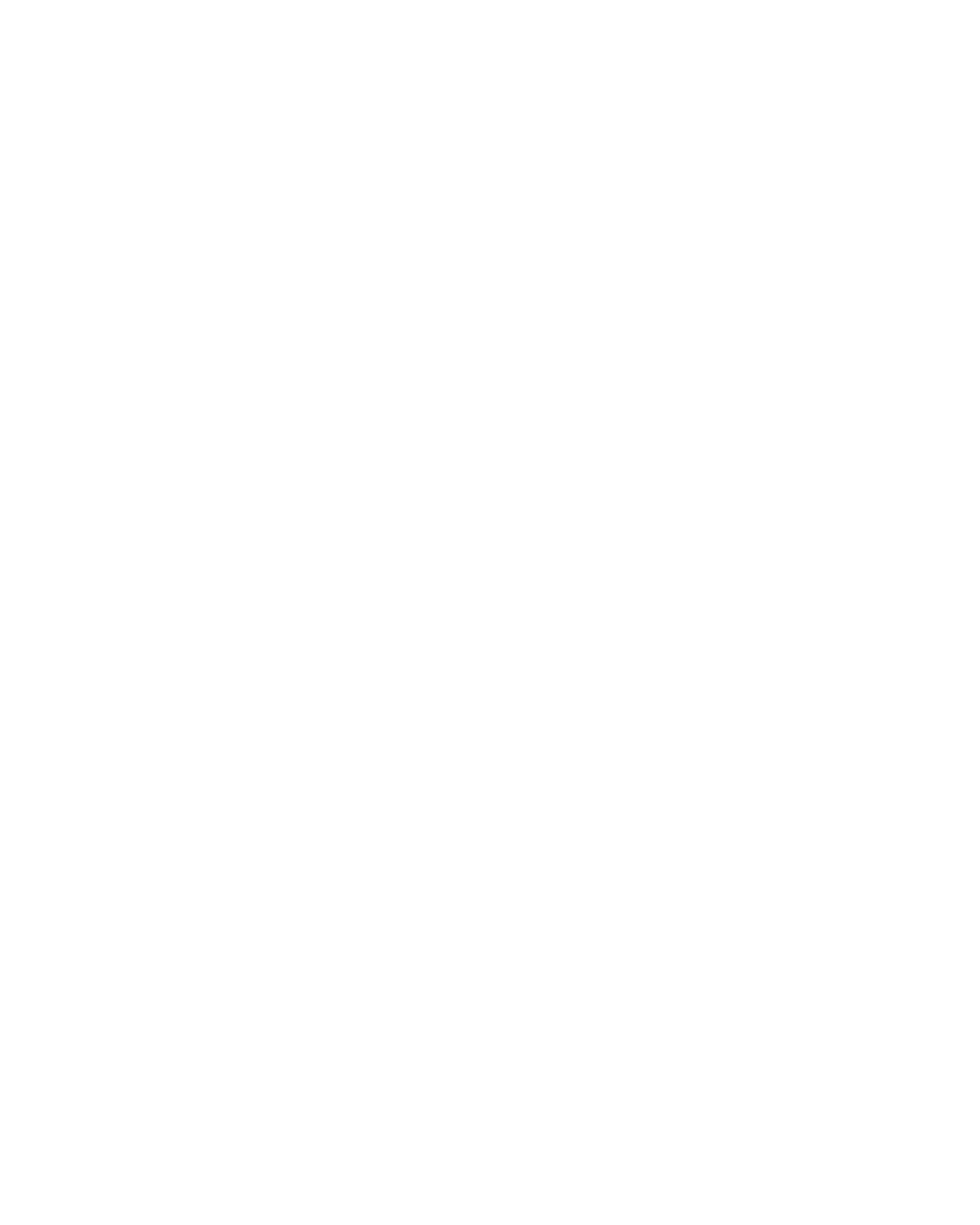Logo floww